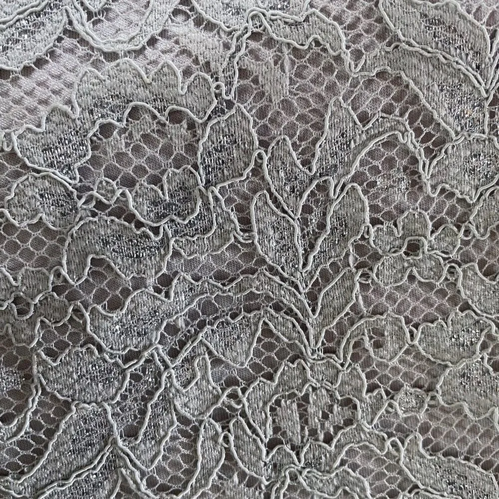 Ann Taylor LOFT Silver Beige Gray Lace Tank Top Metallic Layer Size Small - Image 6