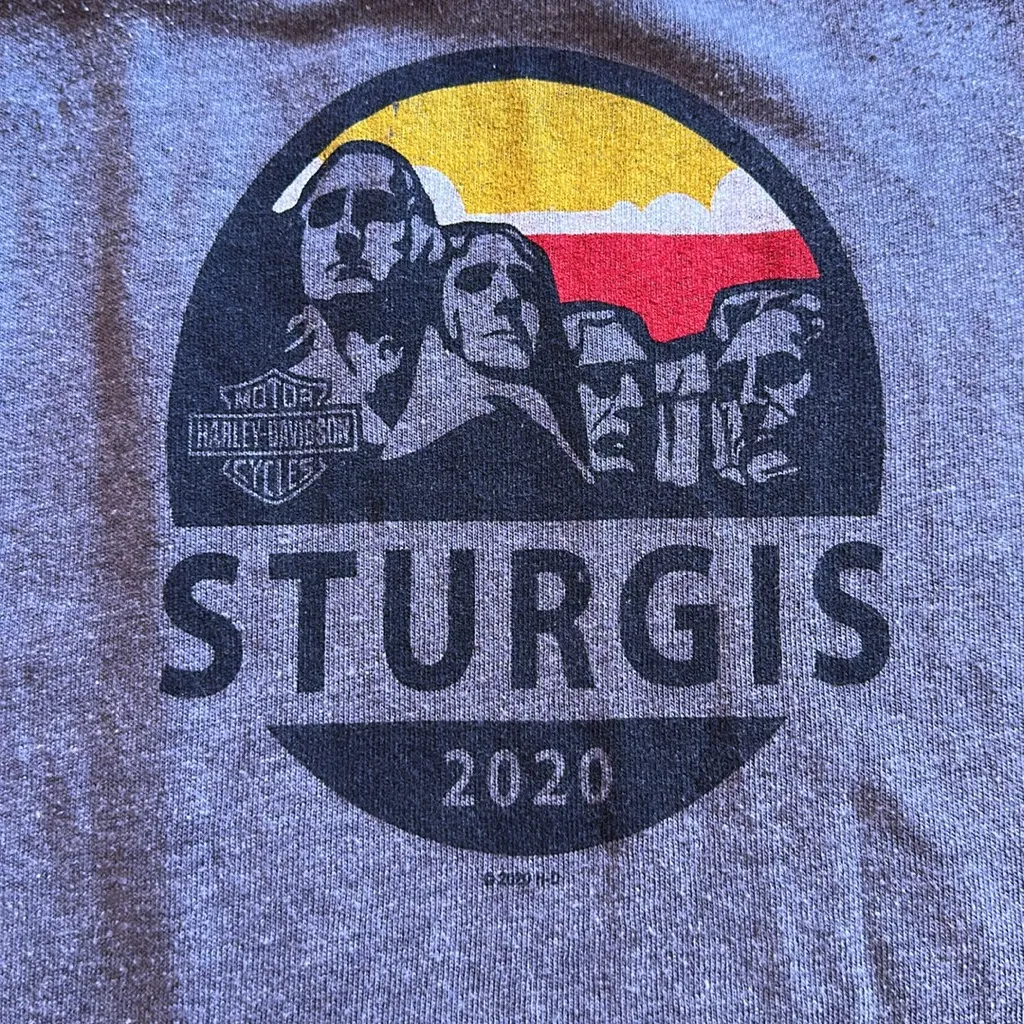 HARLEY DAVIDSON MOTORCYCLES STURGIS 2020 BIKE RALLY MOUNT RUSHMORE TANK - Image 2