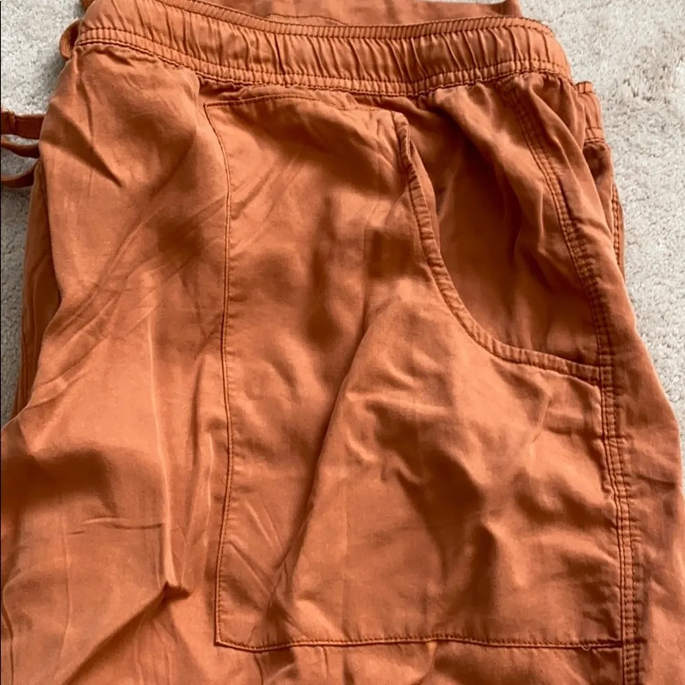 Sanctuary  Discoverer orange pull-on cargo pants 3x - Image 5