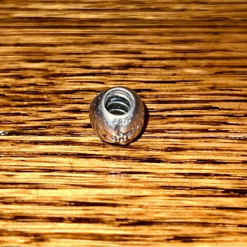 Pandora 791026 Silver & 14k Yellow Gold Education Apple of My Eye Charm - Image 11