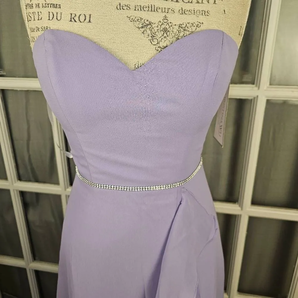 NWT Christina Wu Celebration Womens Lilac Chiffon Full Lenth Dress 4‎ - Image 3