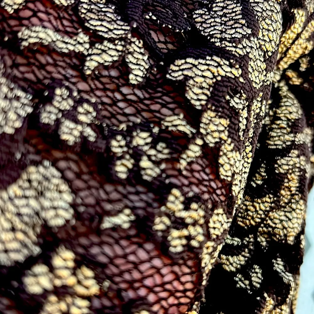 Hugo Buscati Chocolate,Gold metallic lace over Dress from his masterpieces - Image 9