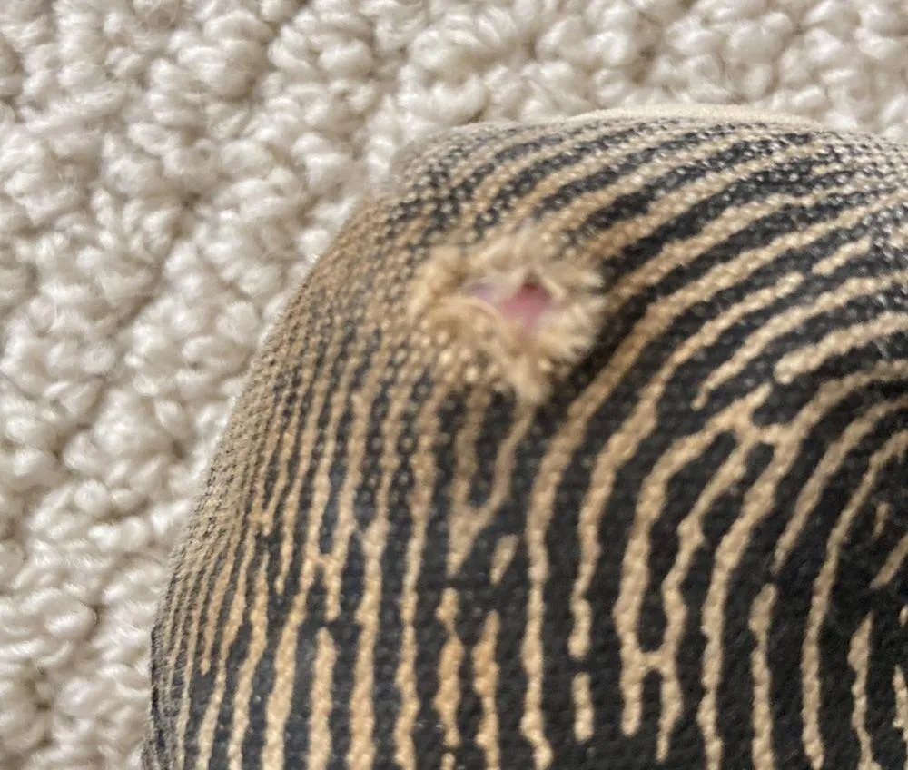 TOMS Alpargata Classics Zebra Animal Print Slip On Shoes Loafers Size 9 GUC FLAW - Image 5