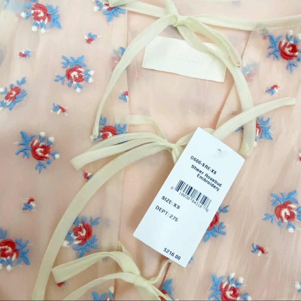 Capulet x Revolve Sheer Rosewood Embroidered Prairie Dress Cottagecore - Image 11