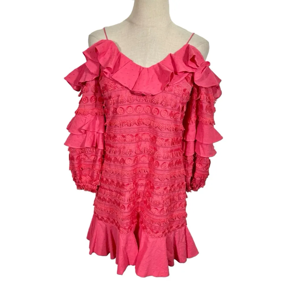 ALEXIS Calypso Ruffled Embroidered Fringe Party Dress in Rouge - Image 5