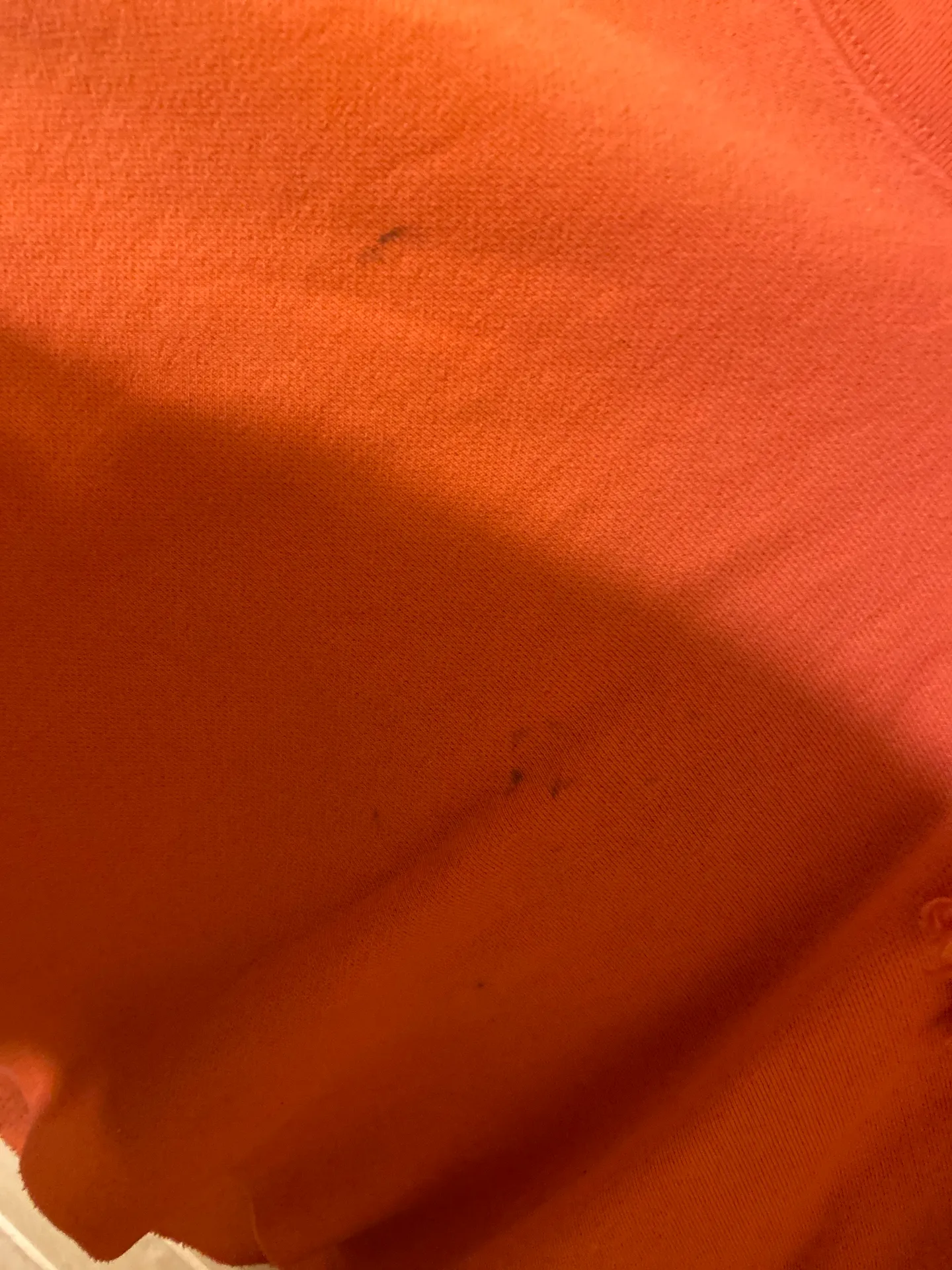 Champion Cropped Hoodie - Image 4