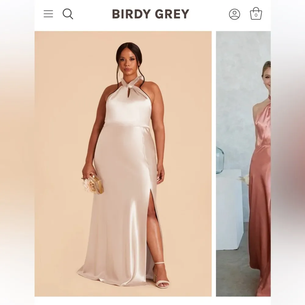 5’4 HEMMED Birdy Grey Monica Dress- Shiny Satin Champagne - Image 2