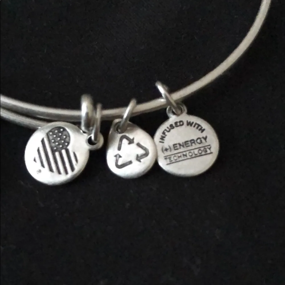 Pre-owned Alex and Ani Path of Life Charm Bracelet - Image 3