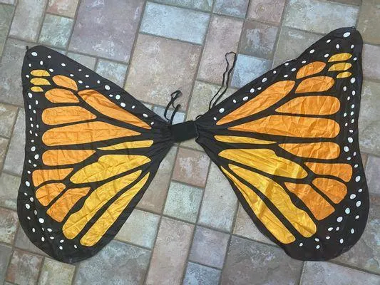 Monarch Butterfly Wings Costume Orange - Image 2