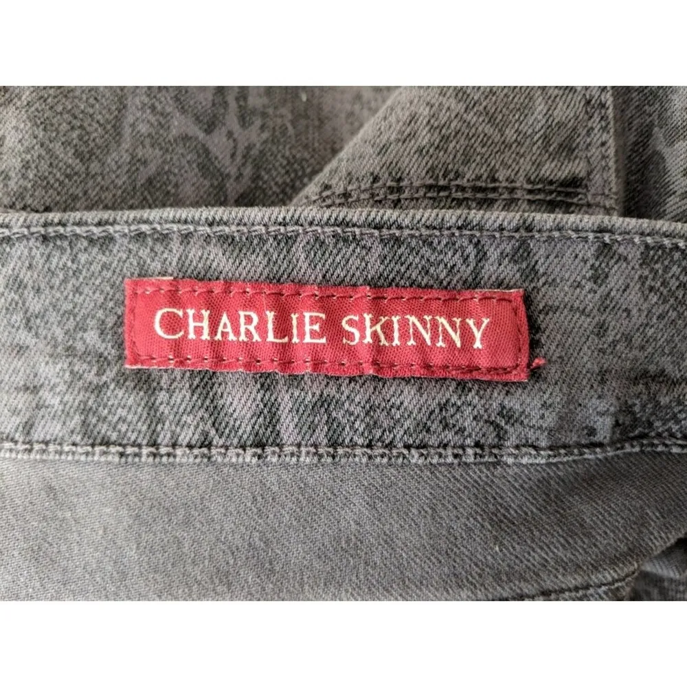 Lucky Brand Charlie Skinny Jeans - Sz 12/31 - EUC - Image 6