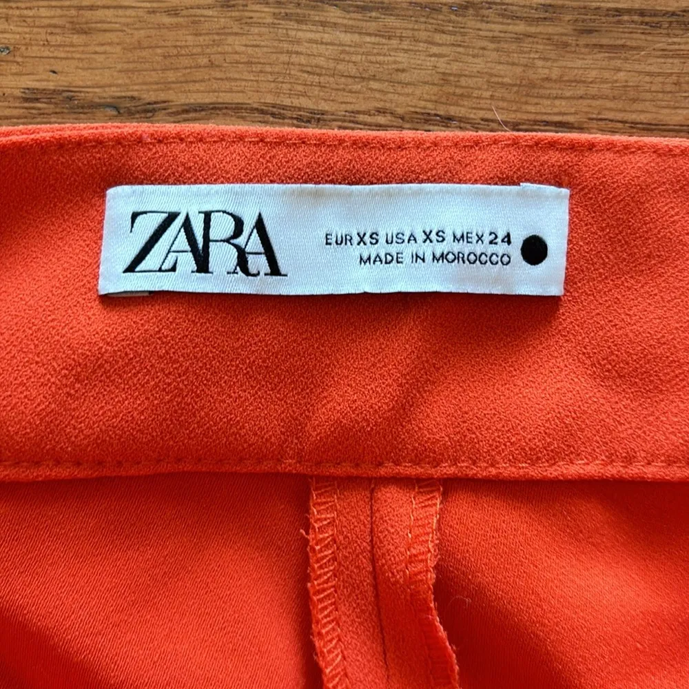 Zara orange plants - Image 2