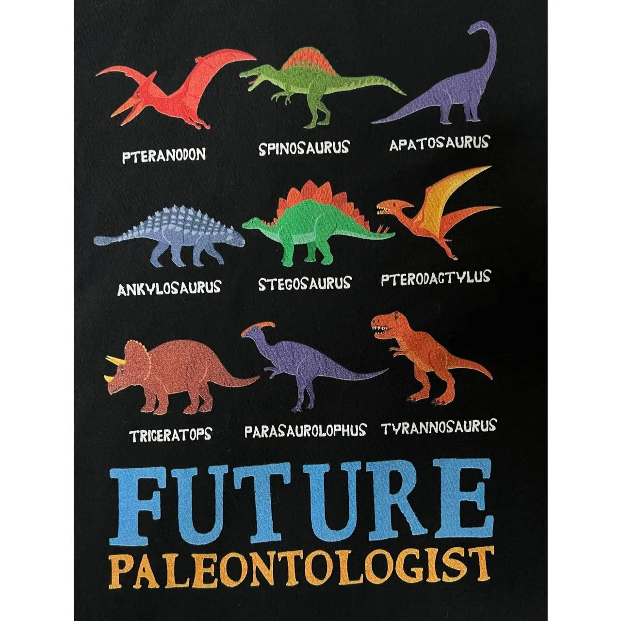 Dinosaurs Trex Jurassic Park Shirt Black - Image 2