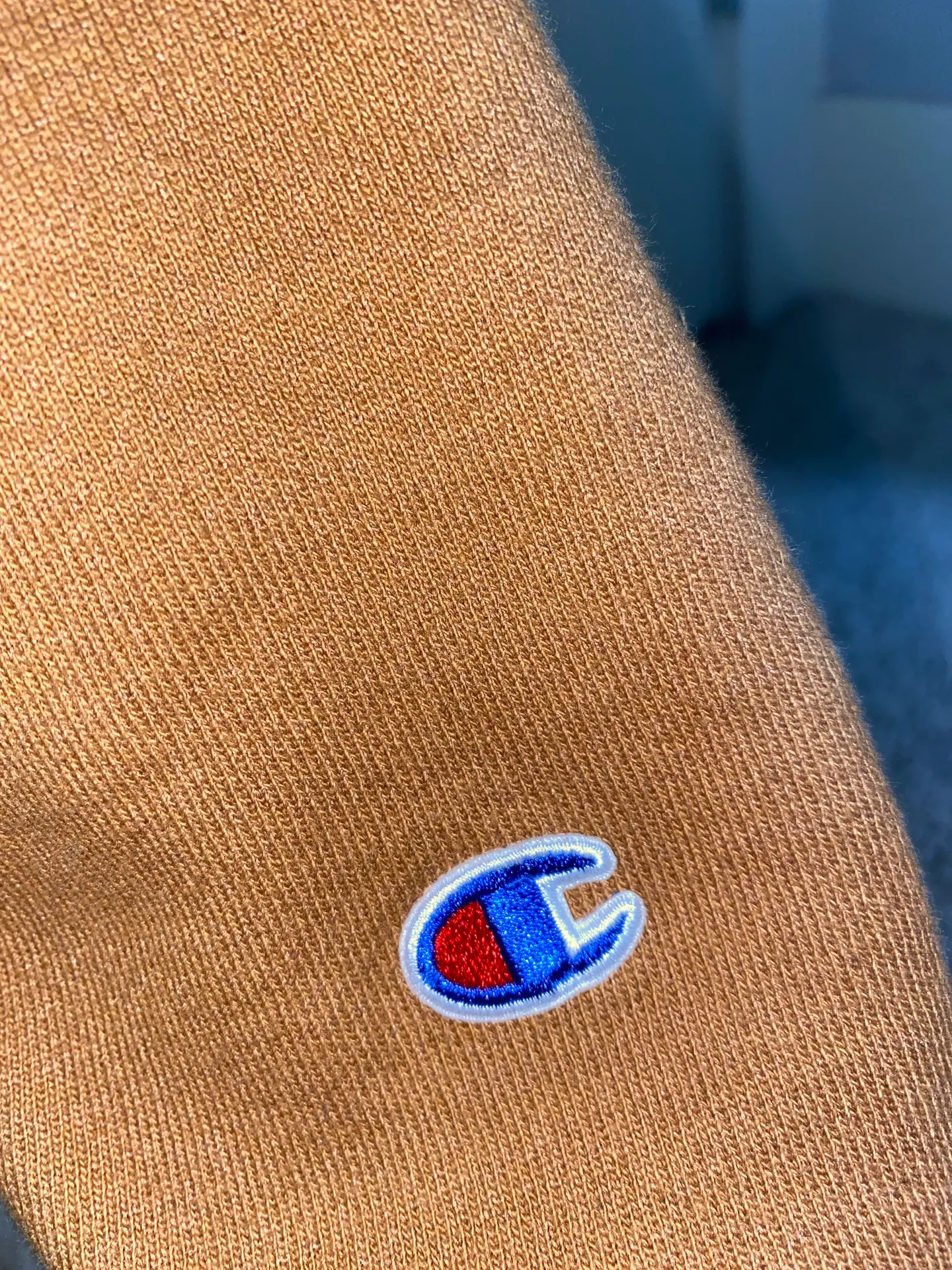 Champion Hoodie - Image 4