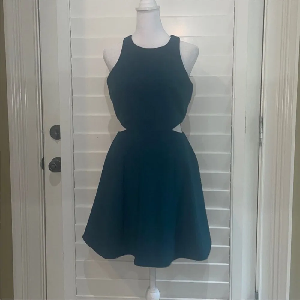 ELIZABETH AND JAMES. EMORIE DRESS size 8 Retails for $365!, - Image 2