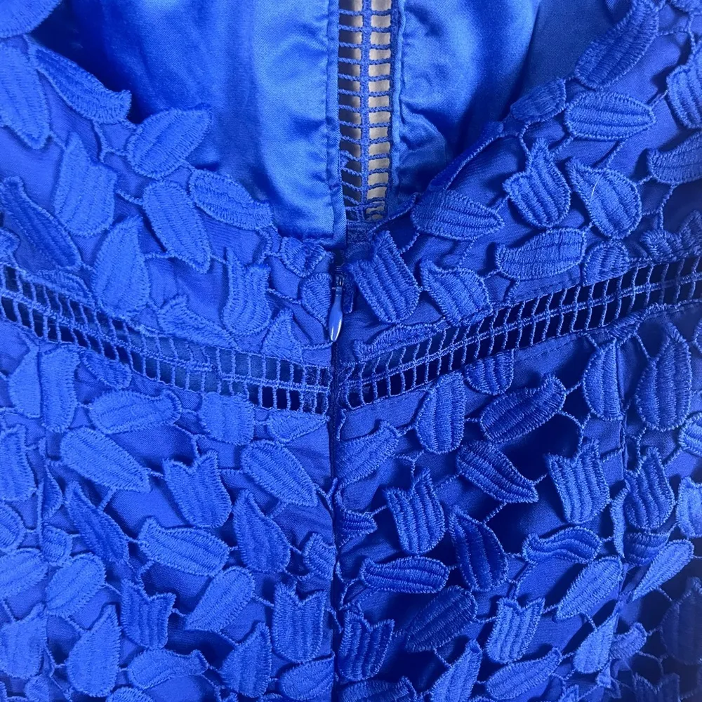 Bardot Gemma Halter Lace Sheath Dress in Cobalt size 8 lace midi - Image 6