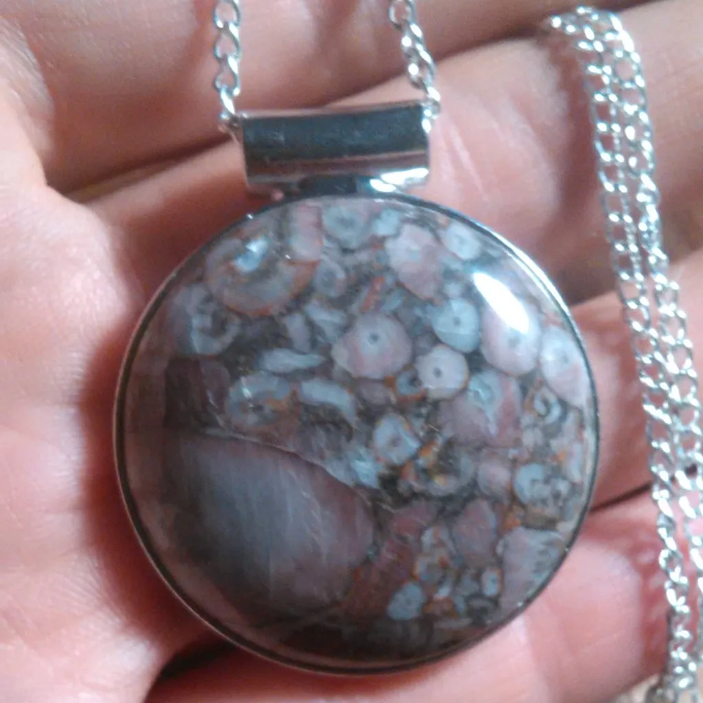 Insect Fossil Jasper Round Silvertone Pendant Necklace - Image 9
