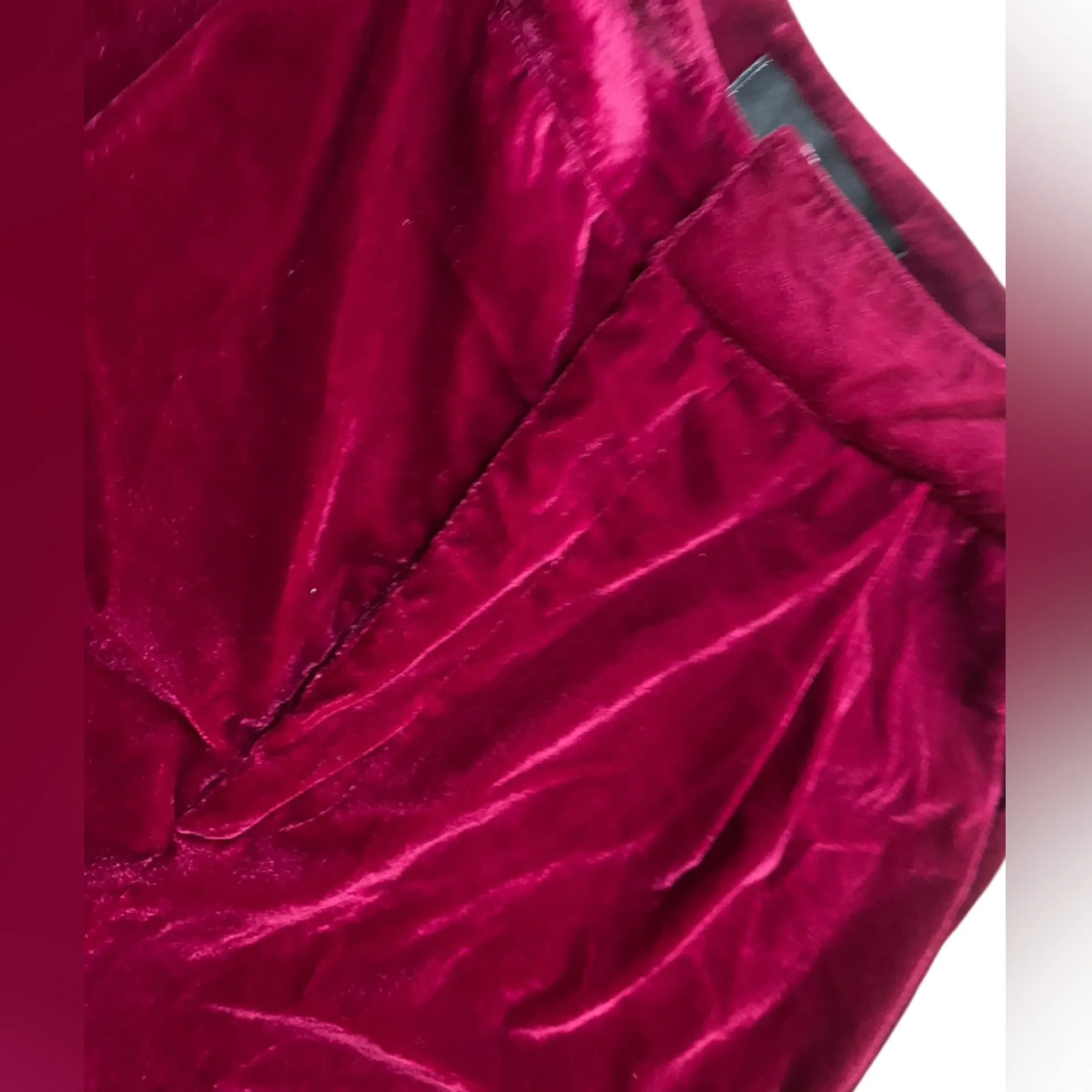 Akira Velvet Pants in Magenta - Image 5