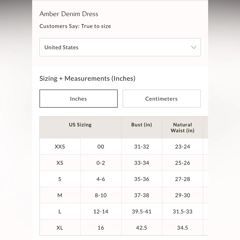 #46 NWT Free People Amber Denim Dress in Dark Indigo - Image 4