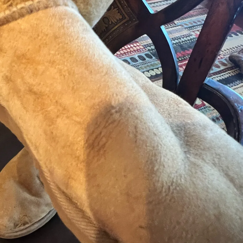 Uggs size W8 light tan - Image 11