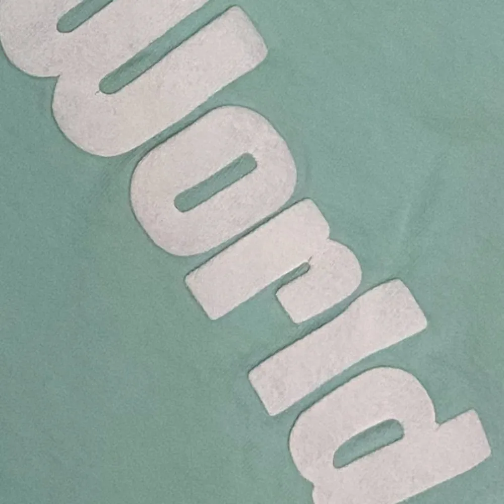 Walt Disney World Spirit Jersey - Image 7