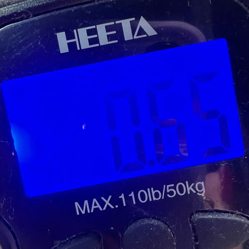 Everlane Gathered Blouse Womens XL Bone White 100% Tencel Relaxed Minimalist Top - Image 15