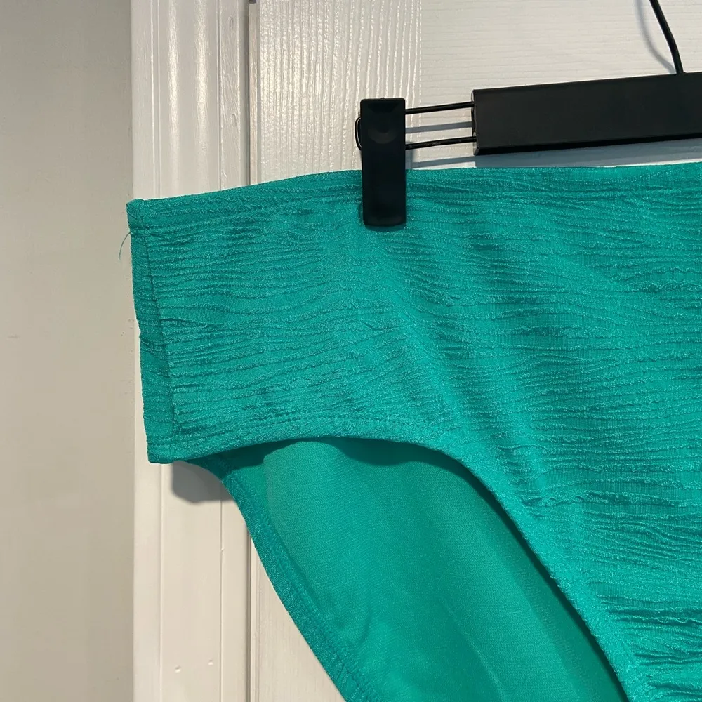 NWT Time & Tru Size 3X Jade Green Mid Rise Zebra Textured Bikini Bottoms - Image 4