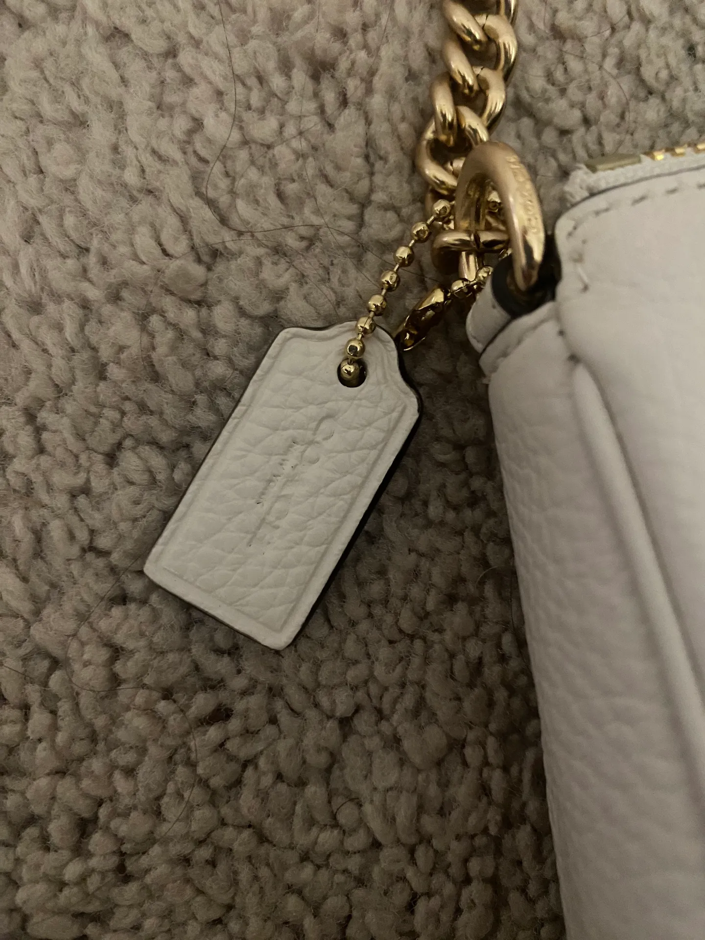 Coach Bag - Image 2