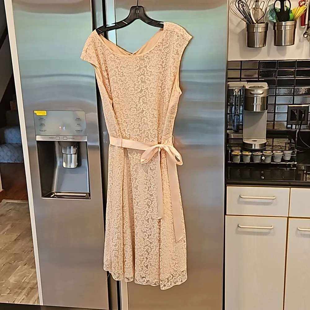 💕TAHARI by ASL💕 Glitter Lace Trim Metallic Ribbon Belted Dress Light Pink 18W - Image 7