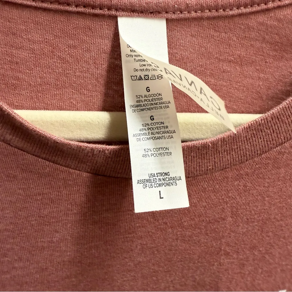 Bella + Canvas Disney Theme Parks Heather Red Graphic T-Shirt - Image 3