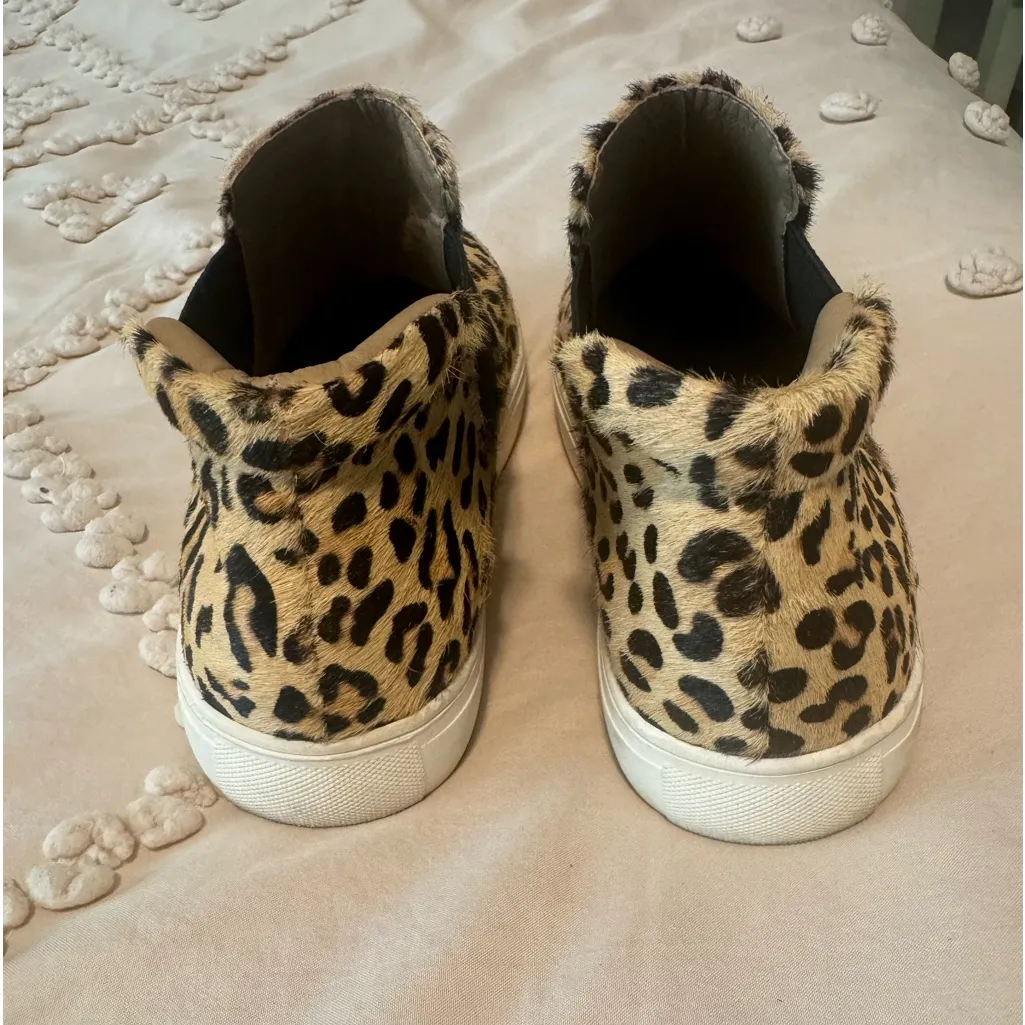 Coconuts by Matisse . Size7.5 M - Image 4