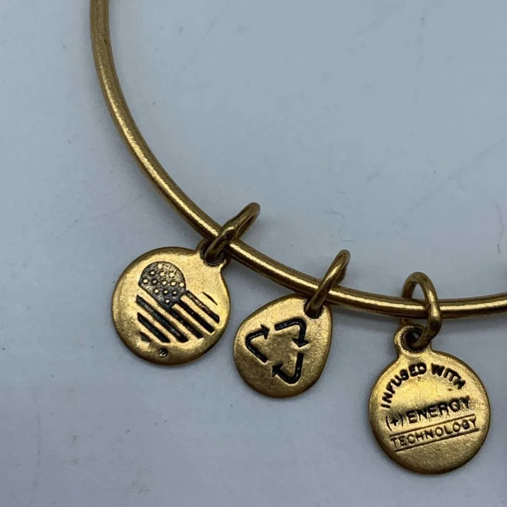 Alex and Ani Guardian Angel of Knowledge Bracelet – Enlighten Me – Gold, NIB - Image 6