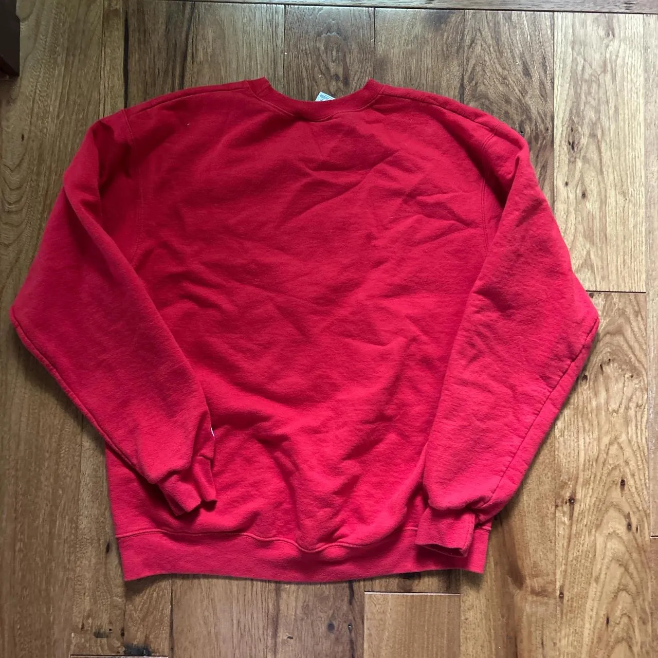 University of Wisconsin Champion Sweatshirt Badgers - Image 2