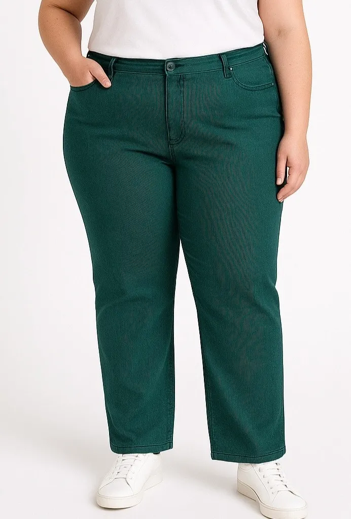 NWT DG2 Diane Gilman Green Pinstriped Jeans Pants Size 24W Petite - Image 1
