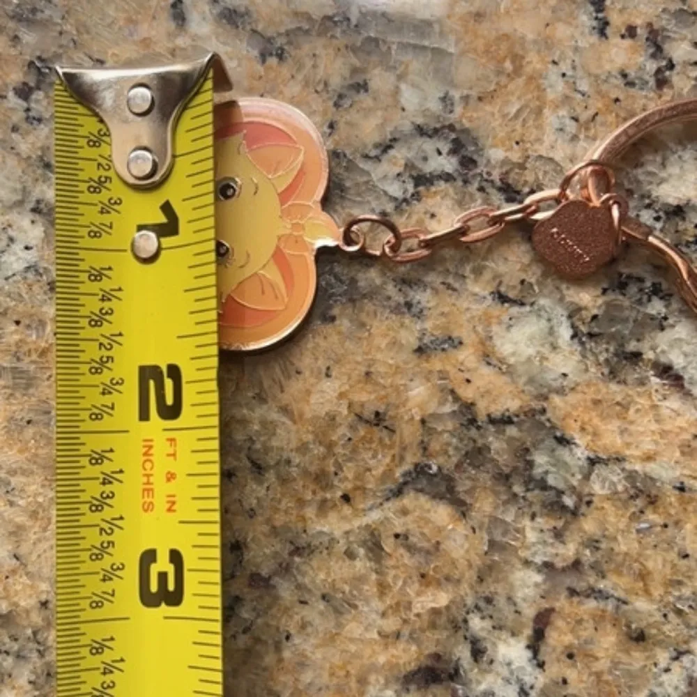 Disneyland Hong Kong keychain - Image 3