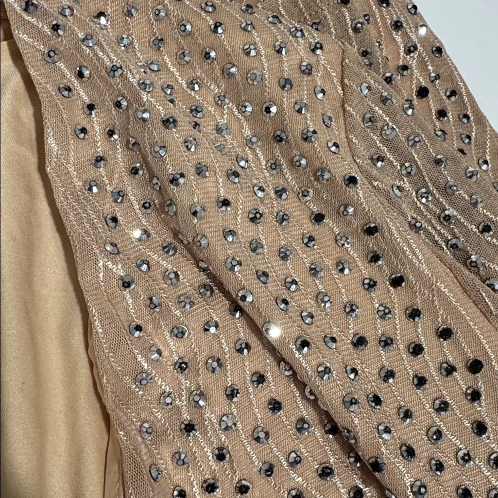 Windsor Sequin V-Neck Long Sleeve Dress - Tan EUC - Image 7