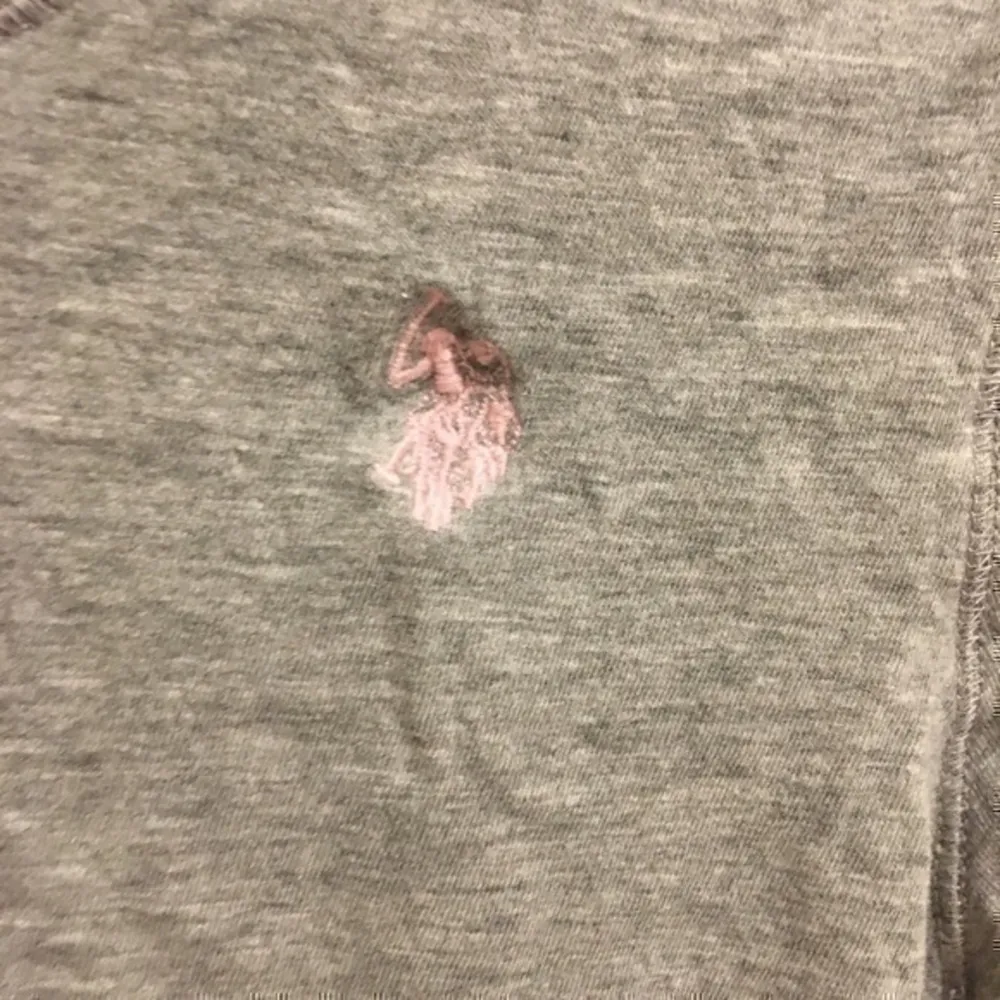 Gray Polo T-shirt - Image 7