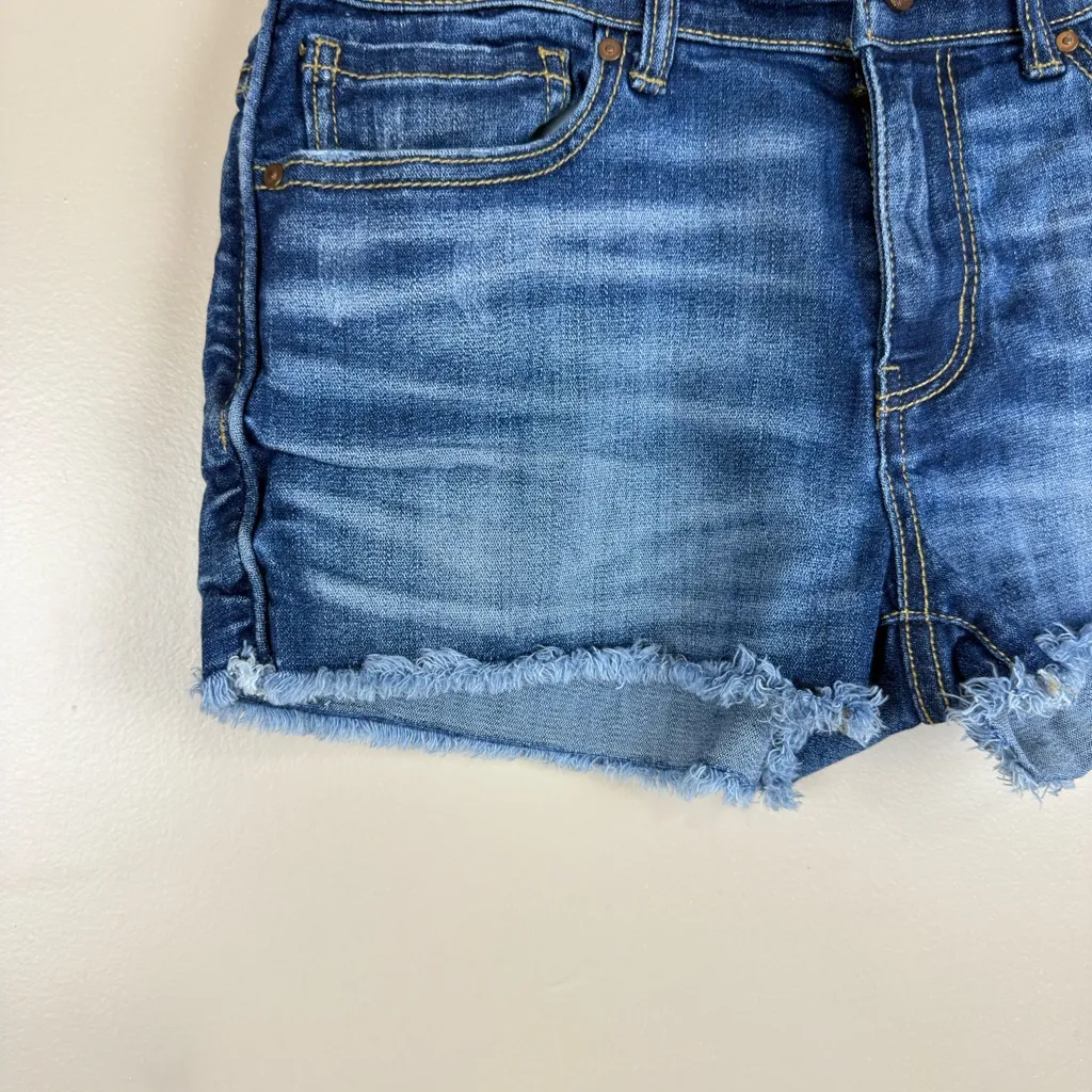 BKE Stella Denim Shorts Size 28 Flayed Hem Distressed Look - Image 3
