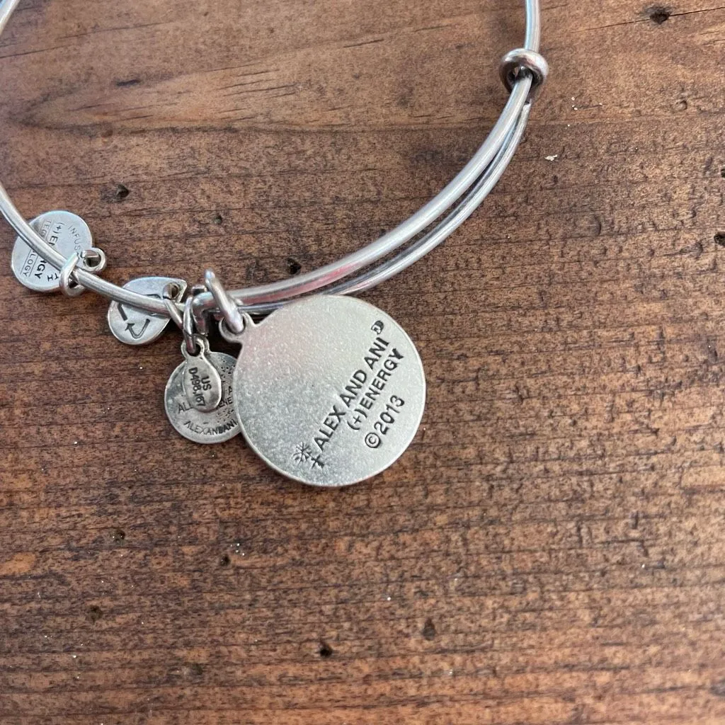 2 Alex and Ani United States NAVY Charm Bangle Bracelet Rafaelian Gold Silver - Image 6