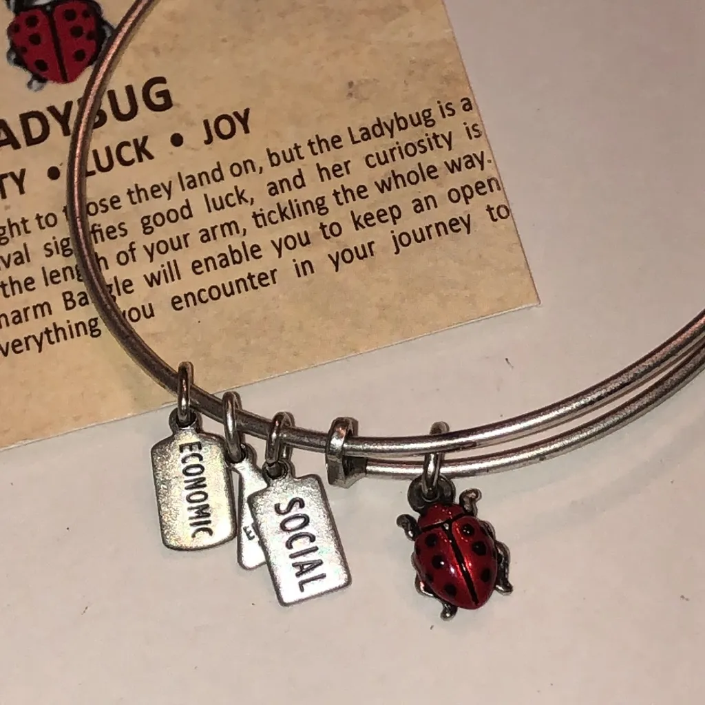 Alex and Ani Silver Tone Ladybug Charm Bracelet - Image 2
