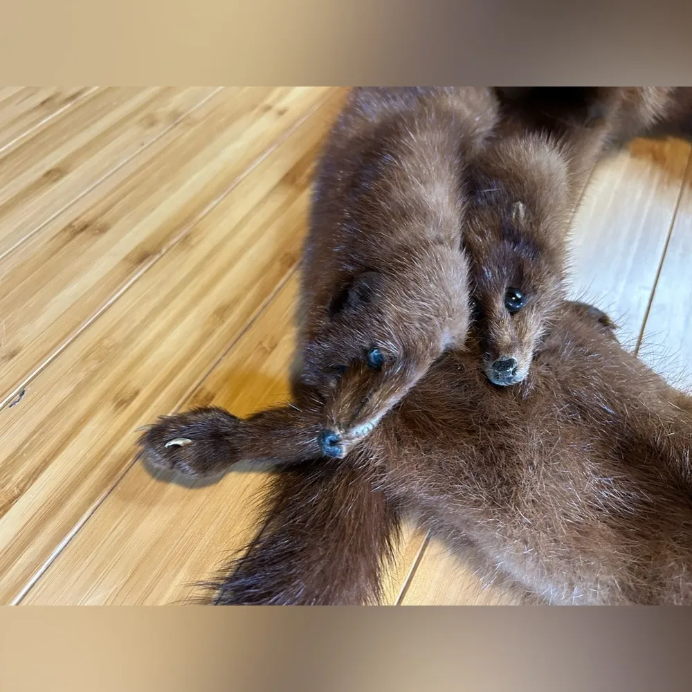 Vintage 4 Mink Fur Complete Body Pelt Scarf Brown - Image 5