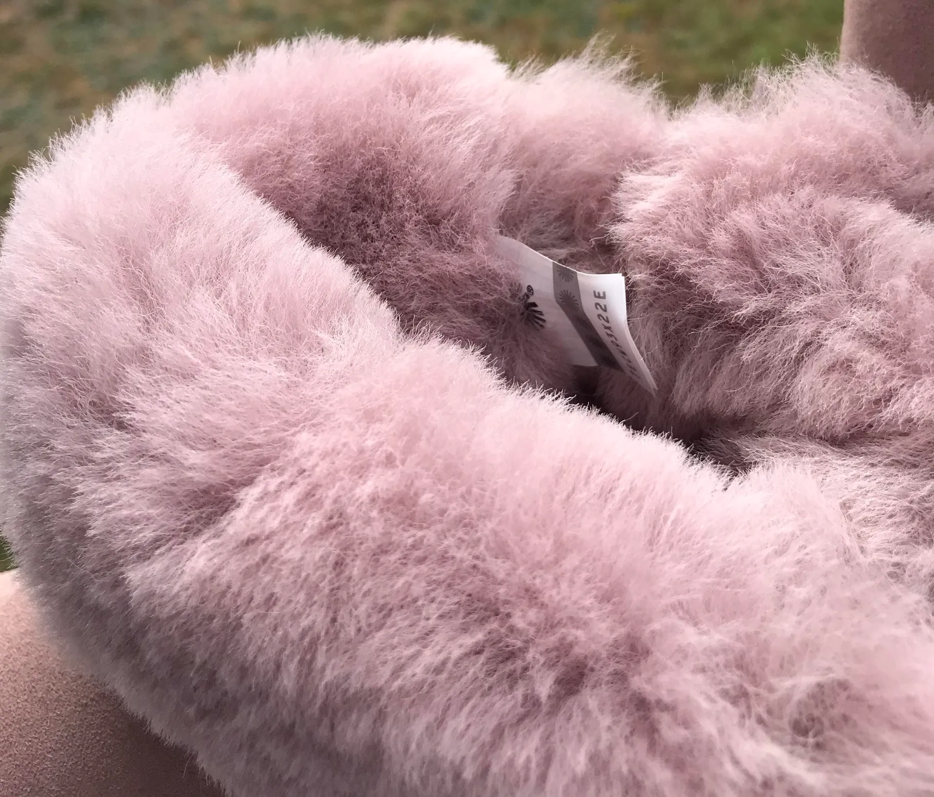 Bailey Bow II Shimmer - Image 8