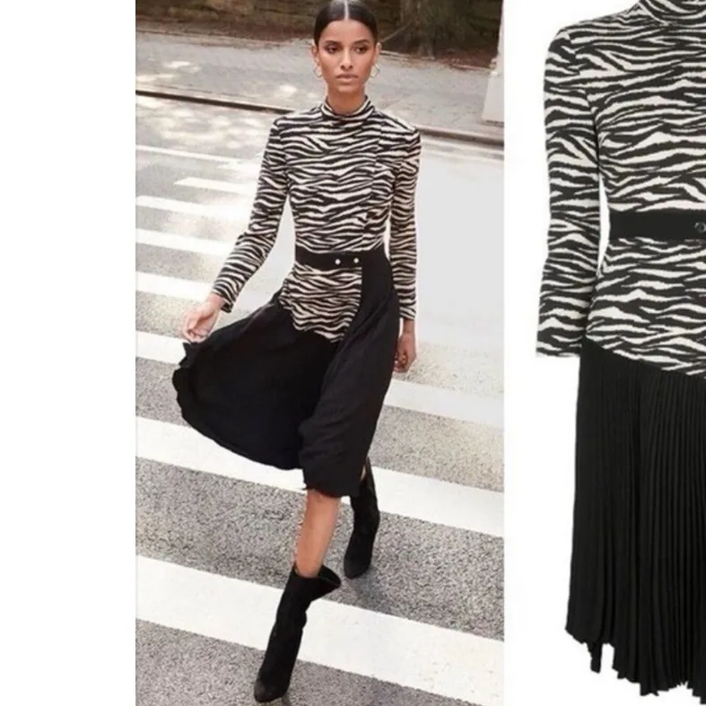 A.L.C. Zebra Print pleated Dress. S - Image 2