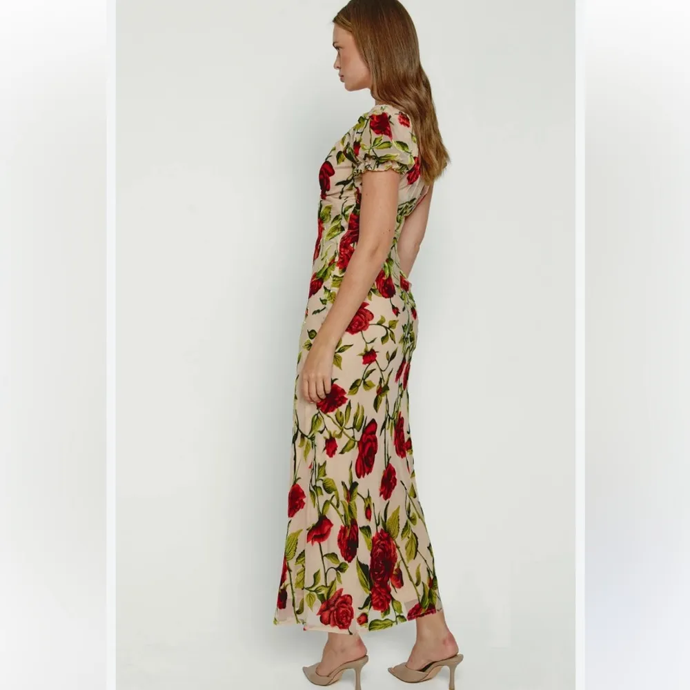 Rare London Rose Devore burnout velvet maxi dress coquette Sz 8 NWT - Image 3