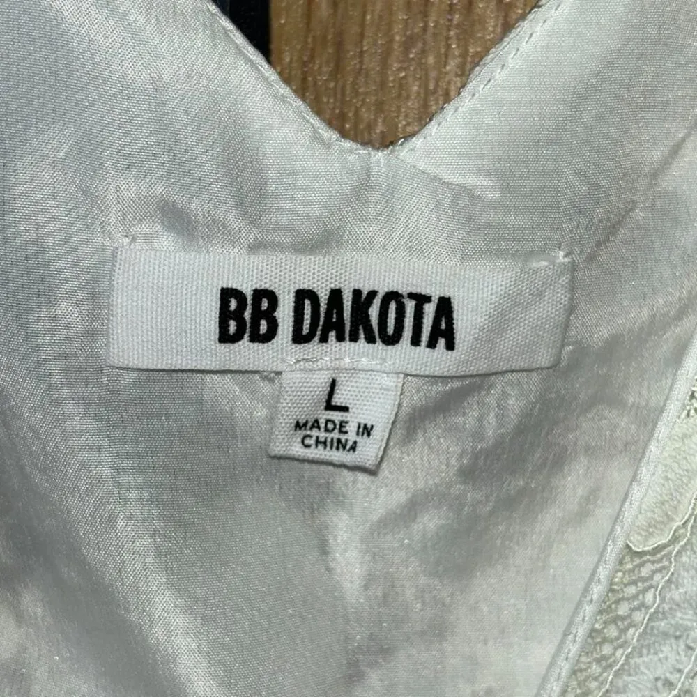 BB Dakota lace overlay dress - Image 3