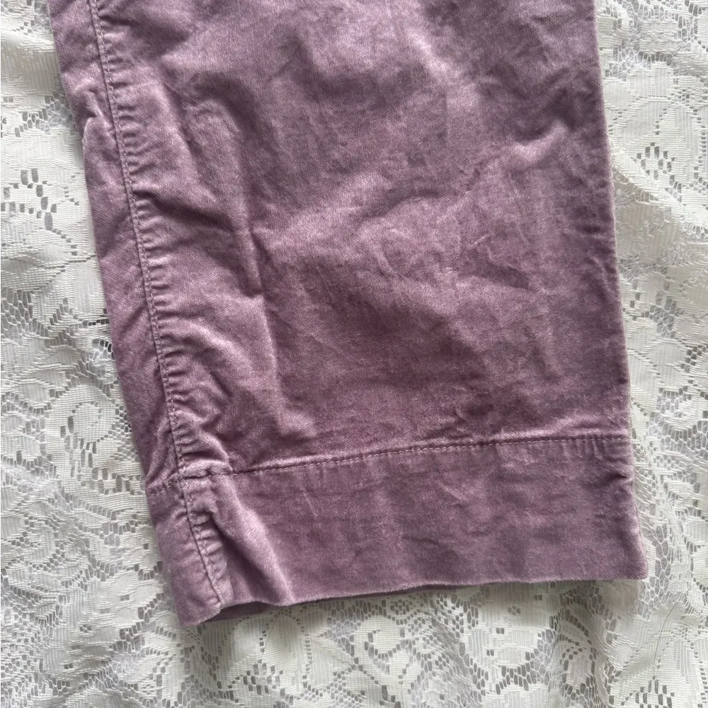 Ann Taylor LOFT Mauve Straight Crop Velvet Pants Size 32/14 - Image 2