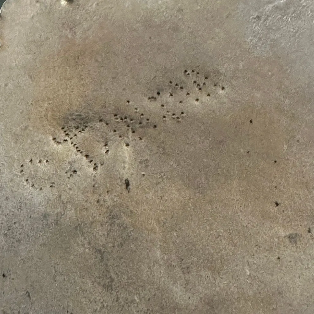 Vintage Tribal Round Cabochon Brooch/Pendant – Carnelian & Agate, Ethnic Design - Image 7