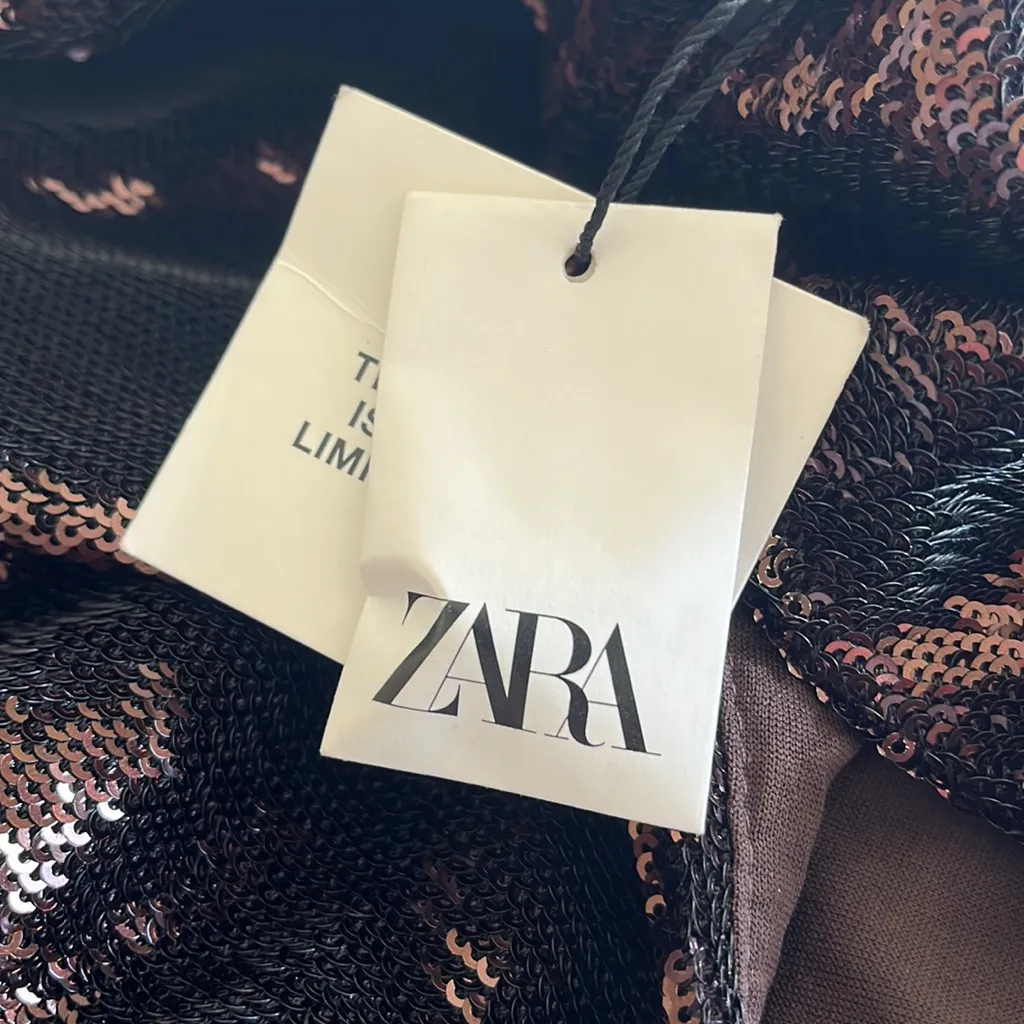 NWT ZARA BLOGGERS FAV LIMITED EDITION  ALL OVER SEQUINS MIDI DRESS - Image 16