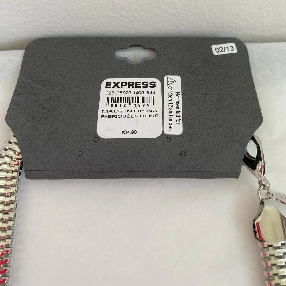 Express Silver Gem & Rhinestone Necklace NEW - Image 5