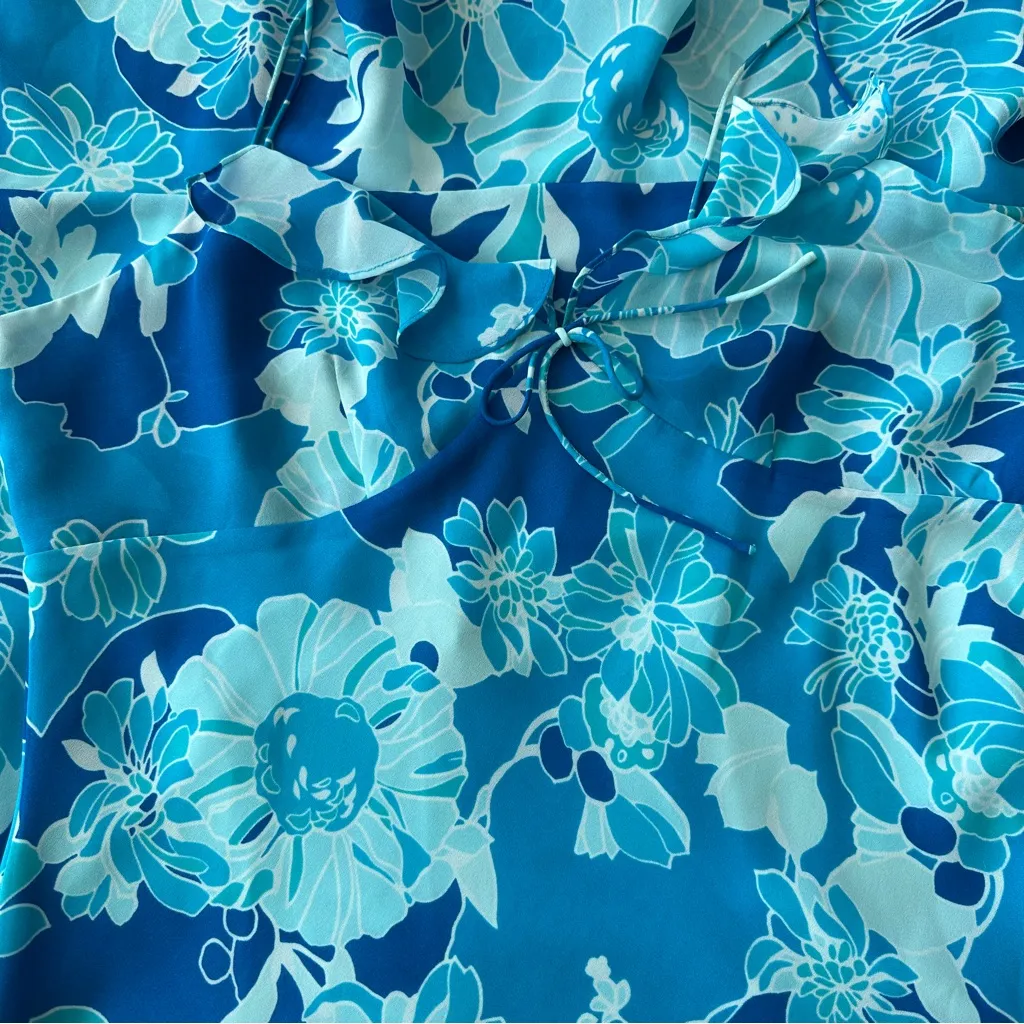 NWT Express Y2K VTG babydoll Floral Blue coquette Dress Whimsigoth - Image 12