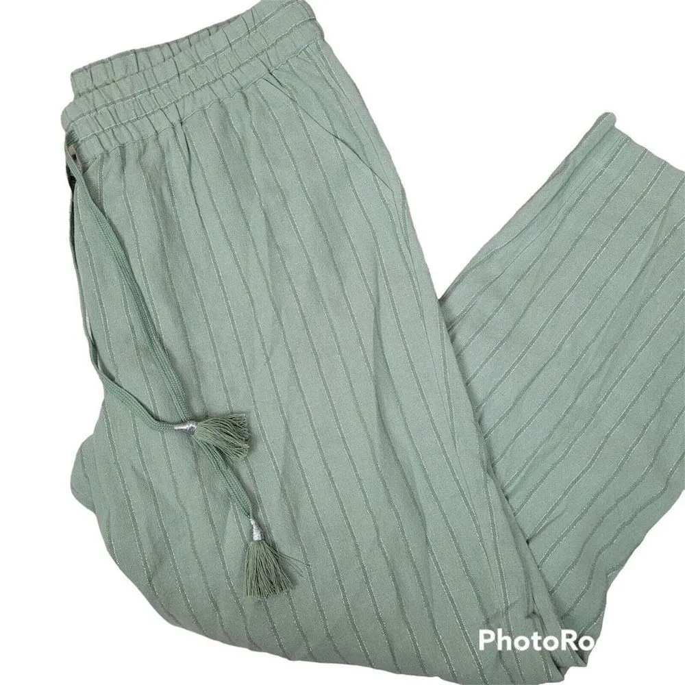 ✨Soft surroundings metallic striped linen blend elastic waist pants✨ - Image 5